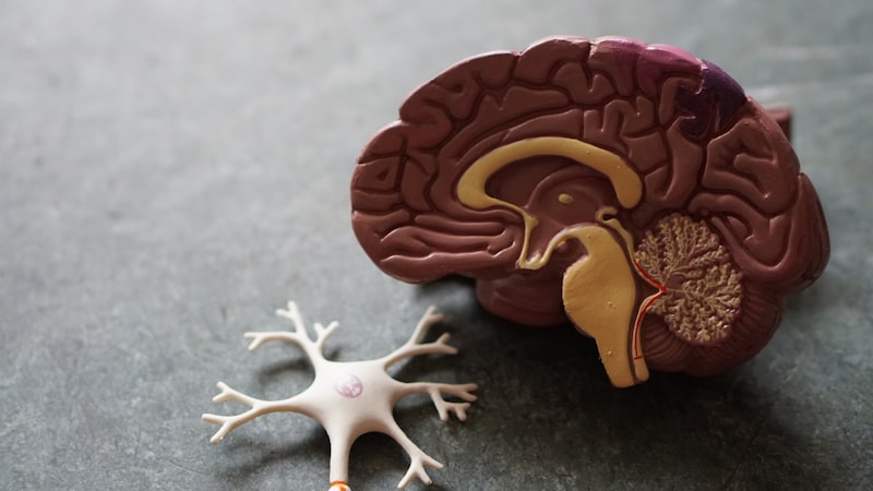 Neurological & Convulsive Disorders